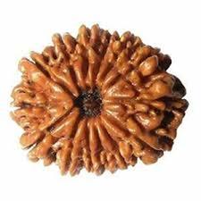 Twenty Mukhi Rudraksha