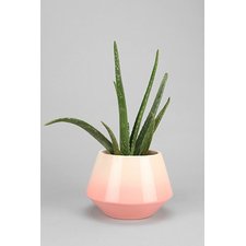 Plum & Bow Small Fade Out Vase 