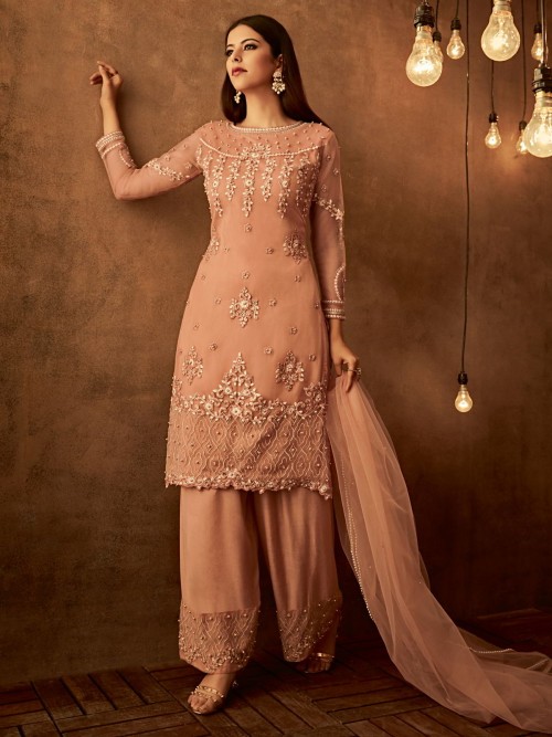 Enticing Peach Net Palazzo ...