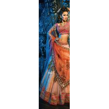 Pink and orange lehenga - love the net dupatta with gold work