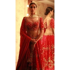 Wedding Ideas & Inspiration - bridal lehenga