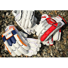 Cricket Gloves