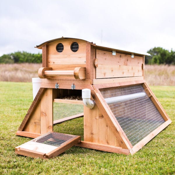 Buy Round-Top Mobile™ Chick...