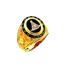 Past Master Ring HOM548PM
