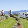 StarRV-Phoenix-Motorhome-–-4-Berth-Start from $ 109 / Per day