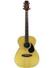 Segovia acoustic guitar wit...