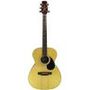 Segovia acoustic guitar with spruce top