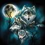 Wild Wolf- DIY 5D Diamond P...