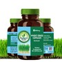 Wheatgrass Capsules 800mg