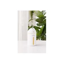  Portable Facial Humidifier