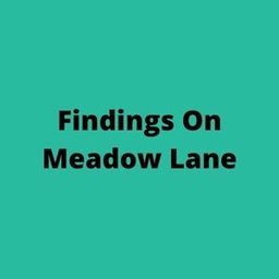 Findingson Meadowlane