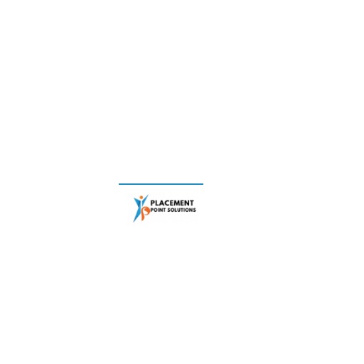 PLACEMENT POINT  SOLUTIONS