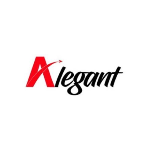Alegant Store