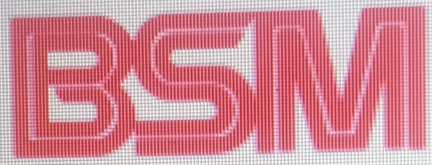 bsm india