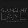 Gulmohar  Lane